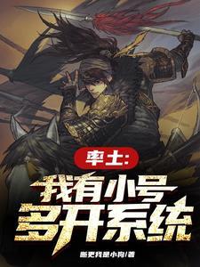 率土之滨pc多开