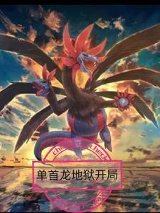 神奇宝贝之暗游翼