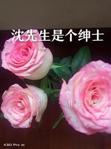 沈先生晋江