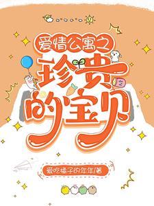爱情公寓诺澜是谁扮演的