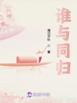 谁与归歌词啥意思