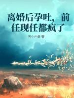 前任现任都疯了洛锦城宋