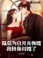 我转身闪婚了236章237
