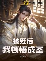 被贬是什么意思