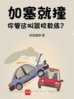 你管这叫驾校教练无防盗