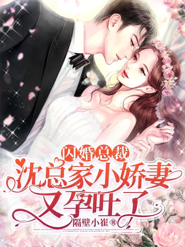 闪婚老公轻点宠沈凌菲