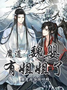 魔道祖师姐姐晋江