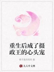 摄政王的心头宠(重生)照城