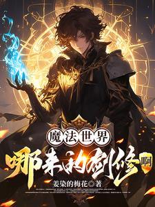 魔法世界境界划分
