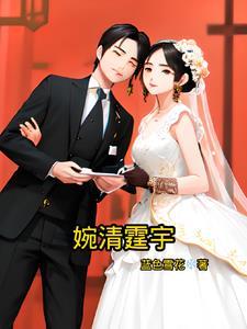女主叫婉清的全部
