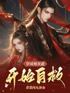 穿成炮灰后我直接弃疗正版