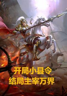 主角从县令做起