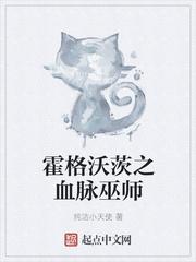 霍格沃茨之血脉巫师加料