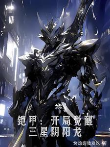 铠甲勇士之开局帝皇铠甲林阳