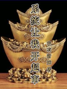 有系统开店的