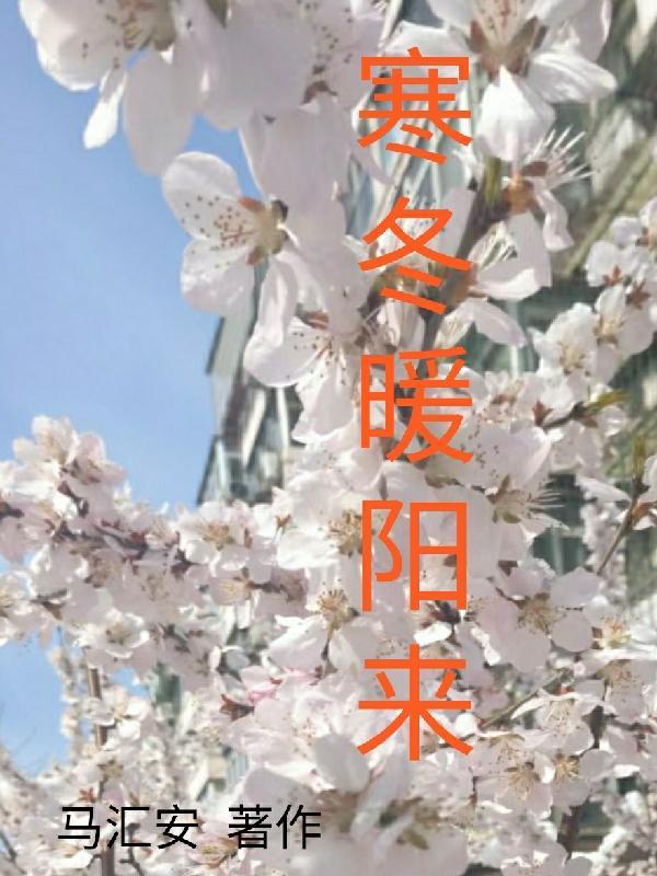寒冬不缺暖阳