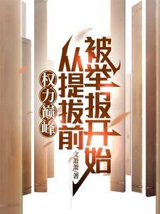 权力巅峰有没有后续
