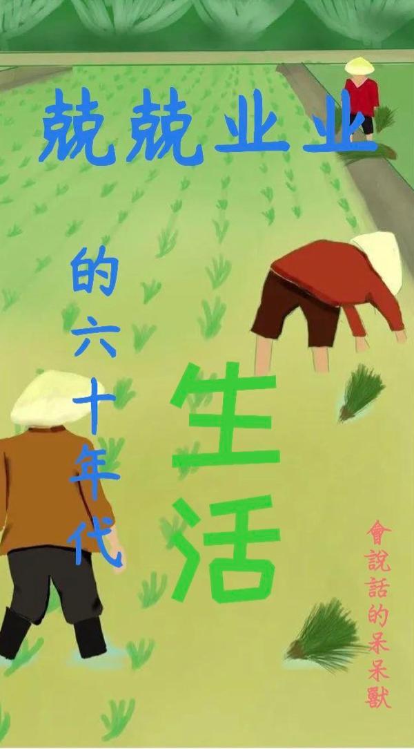 六十年代最吃香的职业