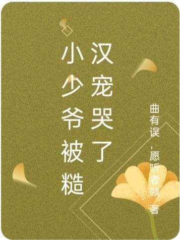 小少爷被糙汉宠哭了 曲有误愿听者顾