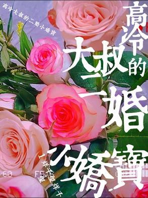 高冷大叔甜宠妻免费