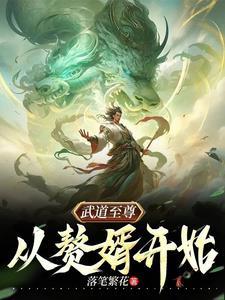 网络武道至尊