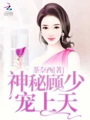 神秘顾爷掌上宝全文免费阅读