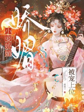 小妾宠文
