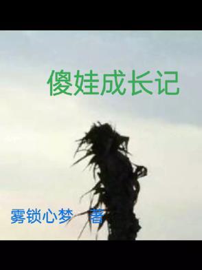 傻儿成长记