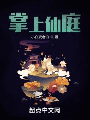 掌上仙庭免费阅读
