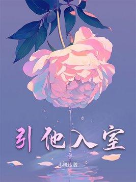 引他入室电视