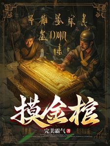 南北盗墓帮派