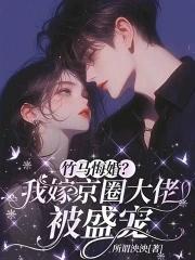 竹马悔婚我嫁京圈大佬被盛宠