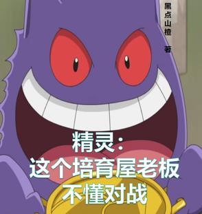 精灵之培育屋txt