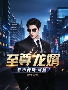 至尊龙婿无弹窗免费阅读