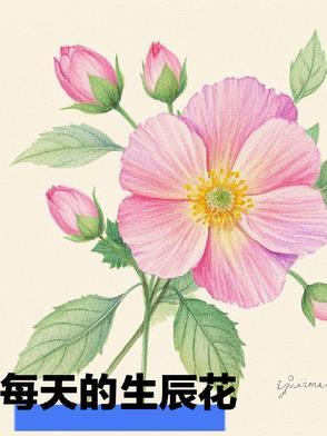 每月每日的生辰花