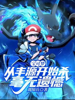 精灵宝可梦丰源攻略