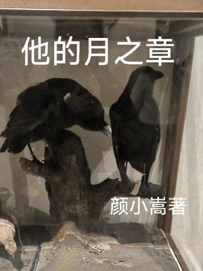 他的月亮