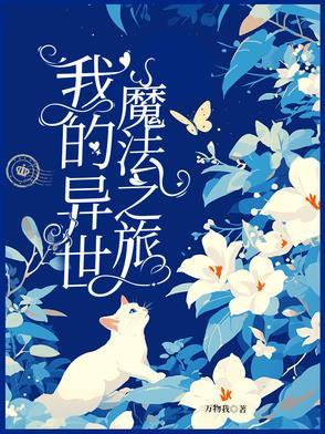 异界魔法师之旅