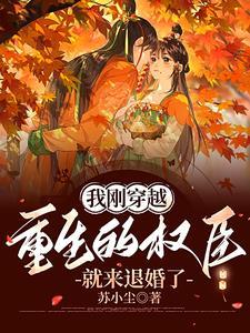 穿越后我成了权臣的